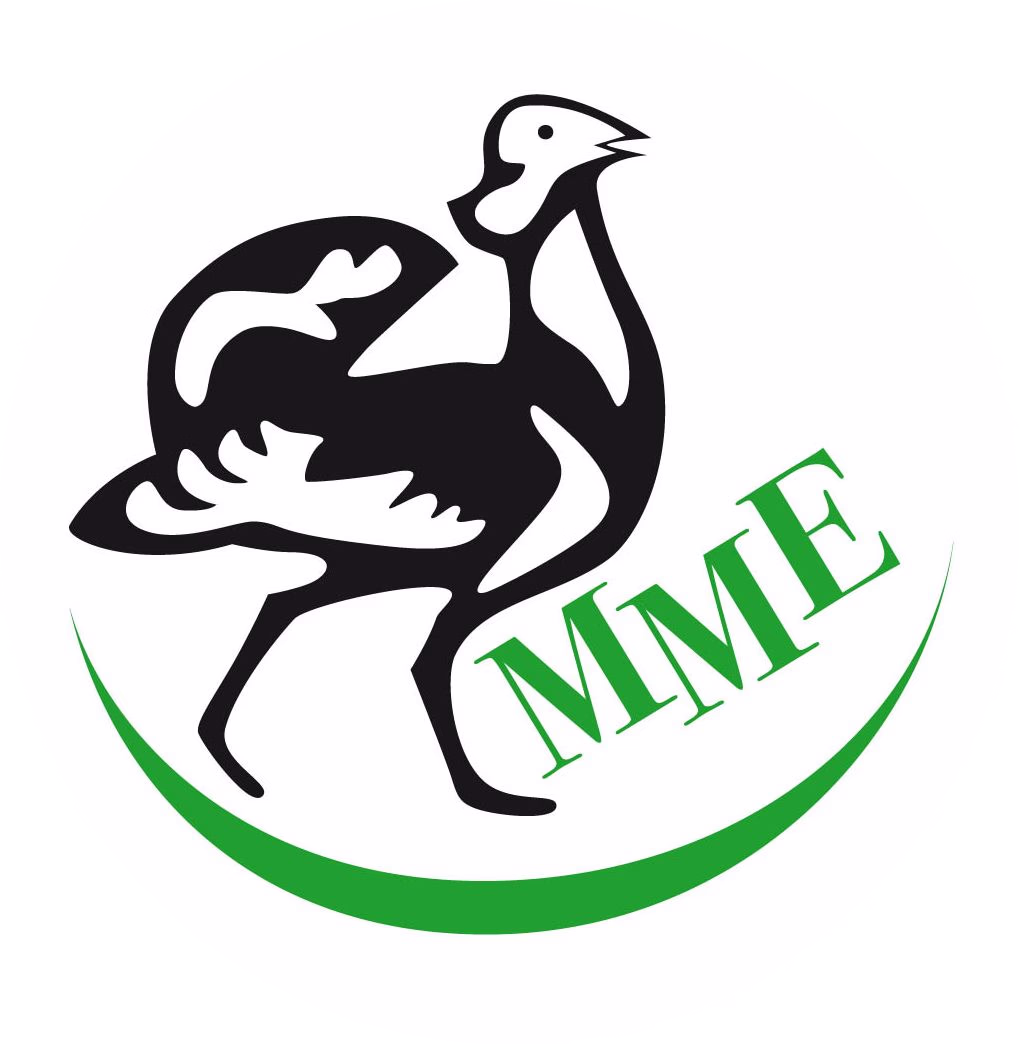 Logo of BirdLife Hungary